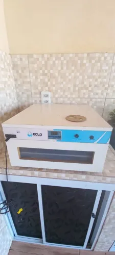 Chocadeira elétrica para galinha