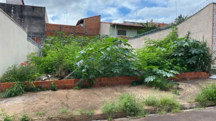 Terreno Padrão em Jaú
