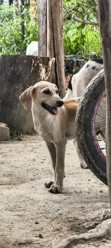 Doação 