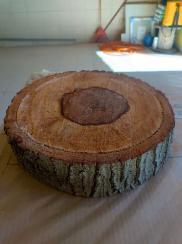Bolacha de madeira