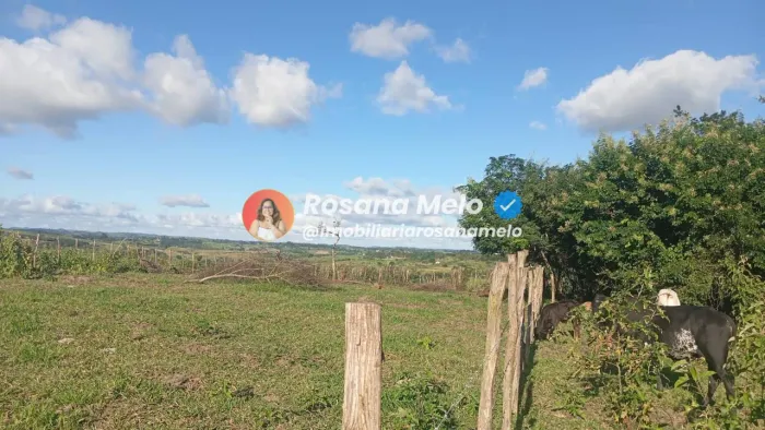 Sítio em Sairé com 9000m² com localização privilegiada, perfeito para investimento.