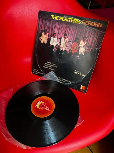Vinil lp disco the platters