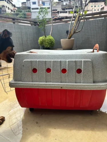 Caixa de transporte cães grandes/ casinha de cachorro grande com rodinhas