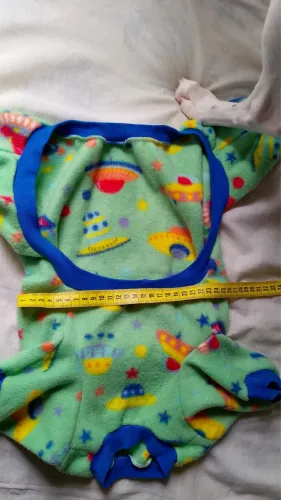 Roupa de cachorro