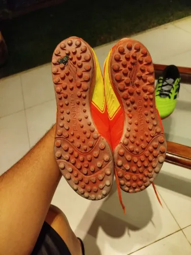 Chuteira 43