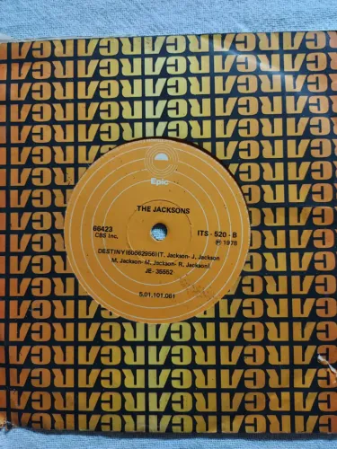 Disco Vinil: The Jacksons "Shake your body" e " Destiny"