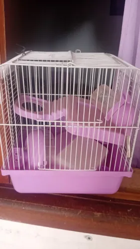Gaiola de hamster
