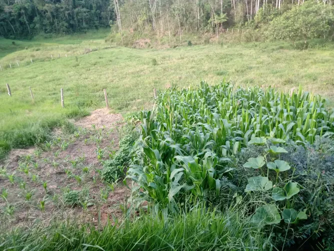 Sitio de 5 alqueires a venda em São José dos Campos - SP