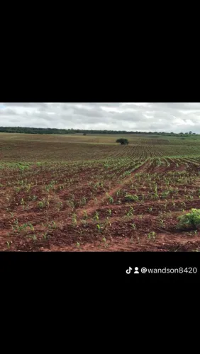 Fazenda com Escritura