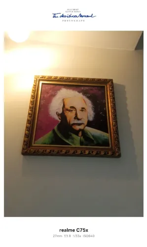 Quadro Albert Eisten