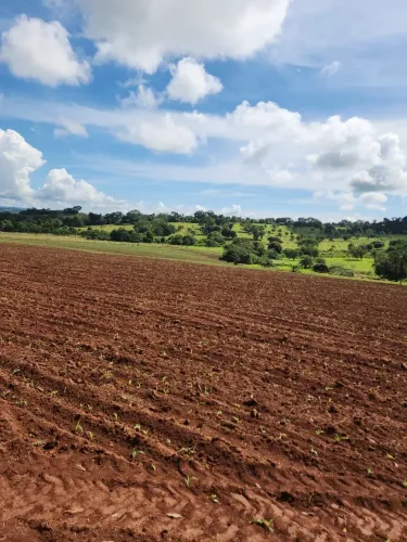 Fazenda a venda, em Uruana - Goiás