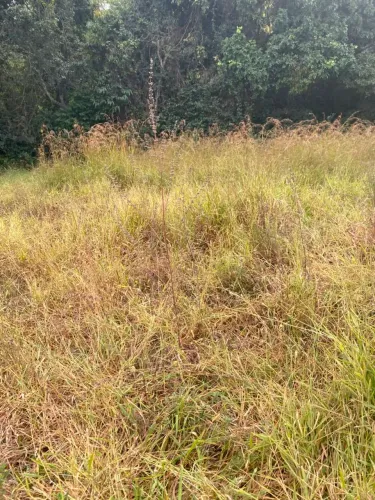 Vende chácara em caldazinha 6 km da cidade chácara muito boa excelente de água