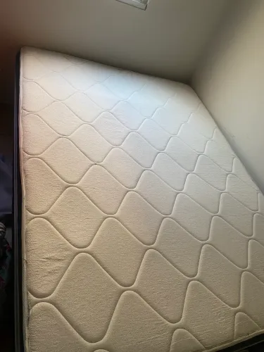 Cama
