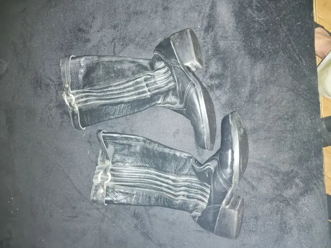 Bota
