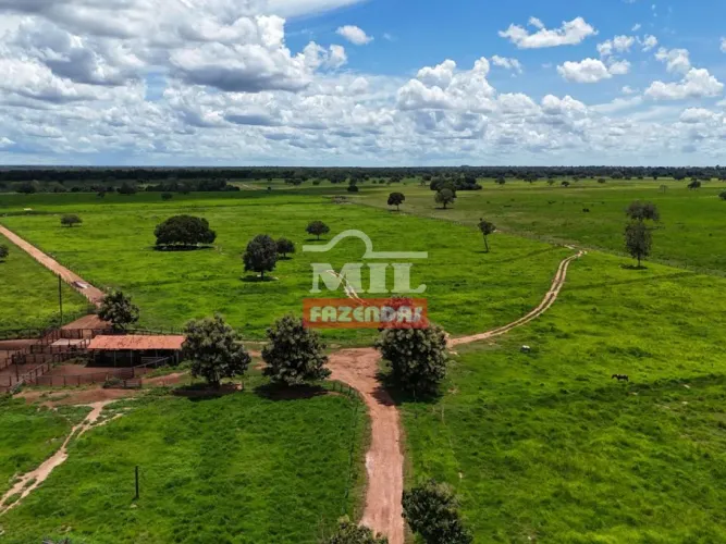 Fazenda 254 Alqueires (1.210 hectares) São Miguel do Araguaia - GO