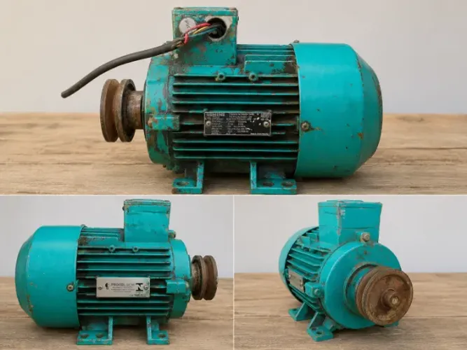 Motor Elétrico Trifásico 