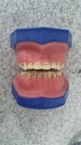 Manequim Typodont Cera Odontologia