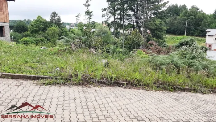 TERRENO RESIDENCIAL em Nova Petrópolis - RS, Linha Imperial