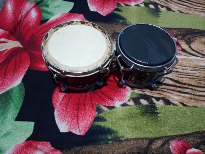 Bongo