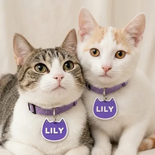 PLAQUINHA DE IDENTIFICAÇÃO PARA PET PERSONALIZADA 