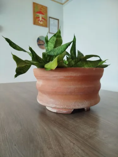 Mini Espada de São Jorge