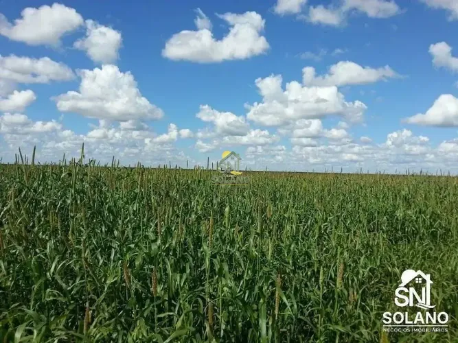 FAZENDA NO MUNICIPÍO DE COCOS ÁREA DE 40.000 MIL HECTARES