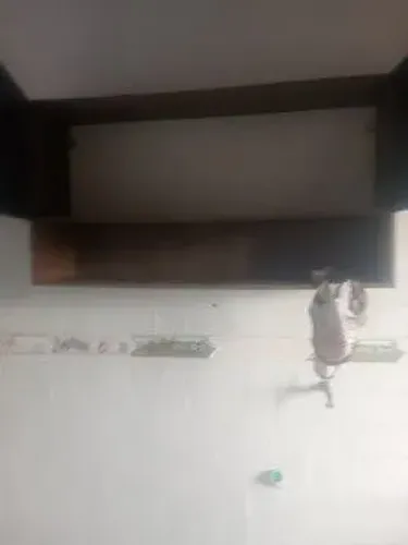 Vendo rac de cozinha