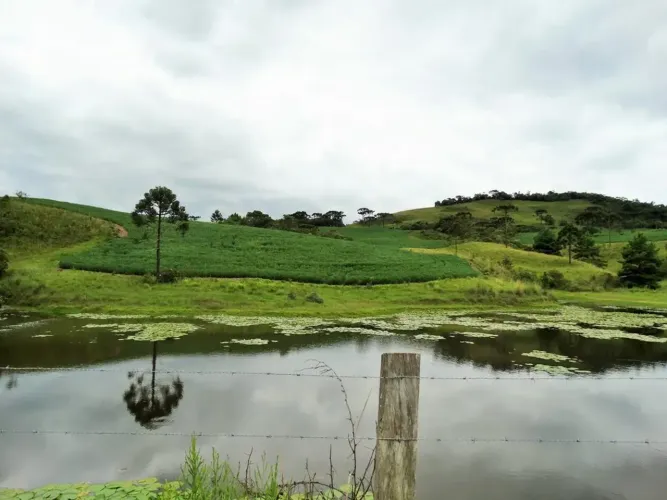 Fazenda com 320 hectares - Bom Retiro - Serra Catarinense