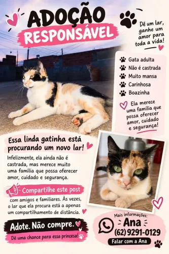 Gatinhos e mamãe para adoção!