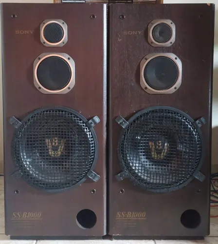 Caixas grande Sony SS-B1000