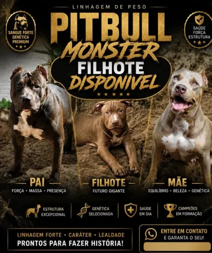 PitMonster 