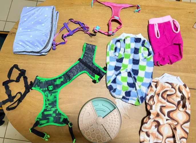 Coleiras e roupas para cachorros