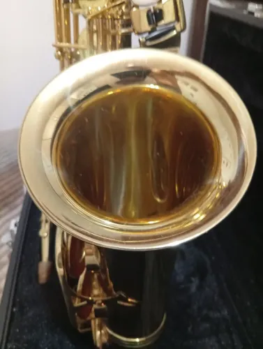Sax alto eagle Sa 501 curvo laqueado