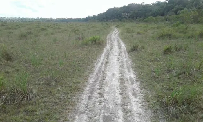 Ilha no marajo com 1.300 hectares documentados por 1 milhão de reias zap *