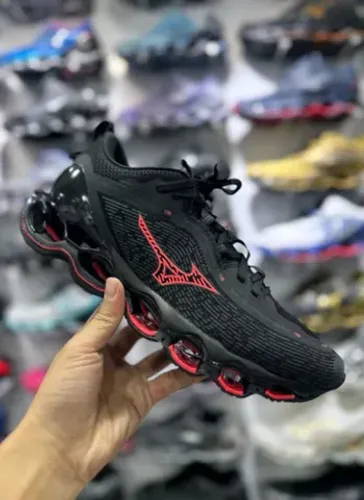 Mizuno prophecy 13