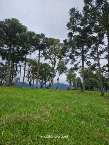 sitio a venda em Urubici