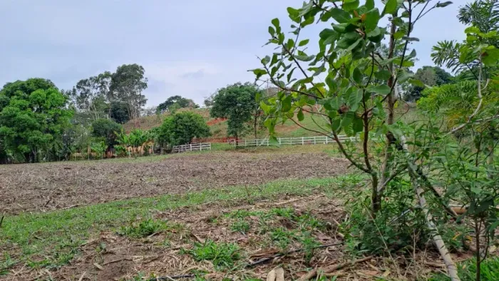 Terreno com 4000 m super valorizado!! com muita água por gravidade 