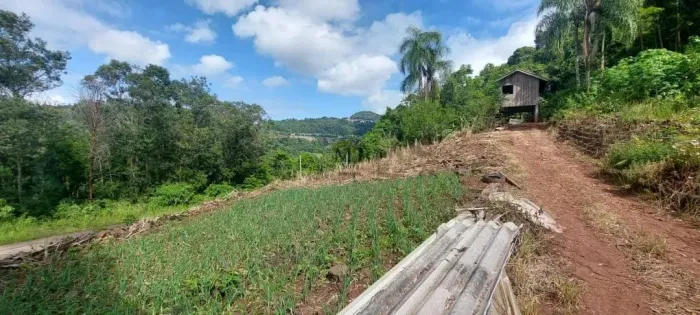 Área de terra bairro Pinhal Alto, Nova Petrópolis.RS Ref.:138