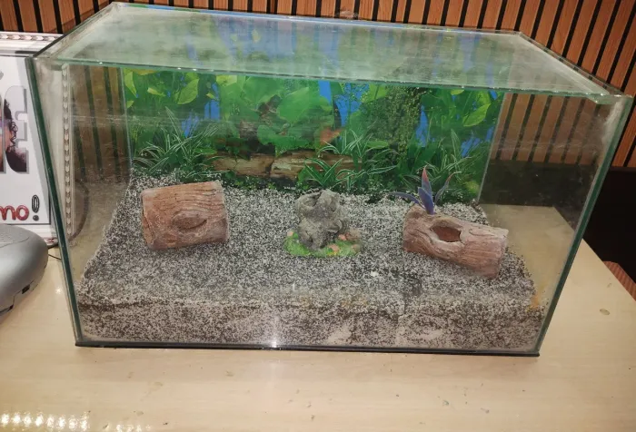 Aquário para peixes