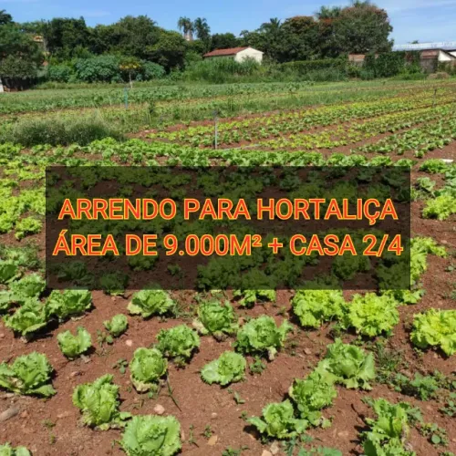 Arrendo área 9.000m² p/ Plantio hortaliças e verduras Próx. Praça Violeiro em Goiânia