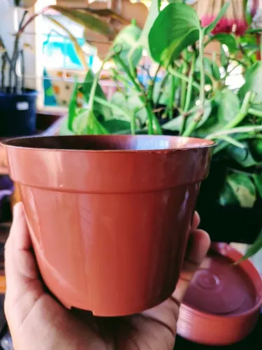 Vaso plástico n°13