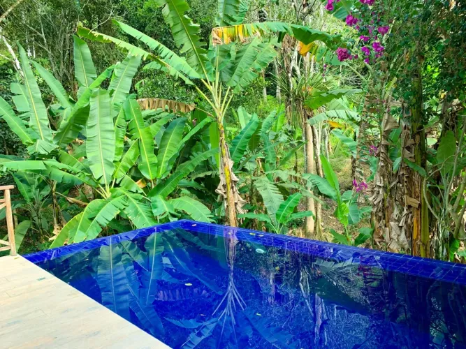 Sítio com piscina e área verde liga 9 8 7 4 8 3 1 0 8 Diego9989f oportunidade guara