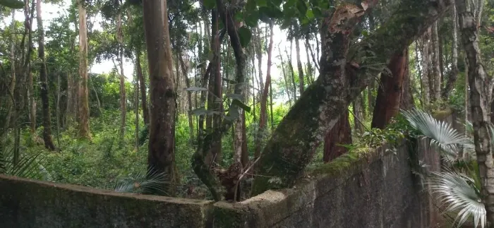 Terreno à venda, 500 m² por R$ 350.000,00 - Granja Viana - Cotia/SP