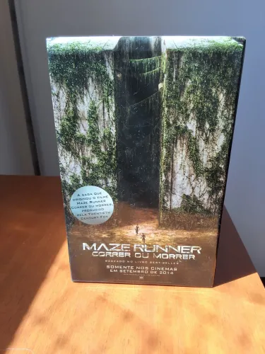 Box Maze Runner