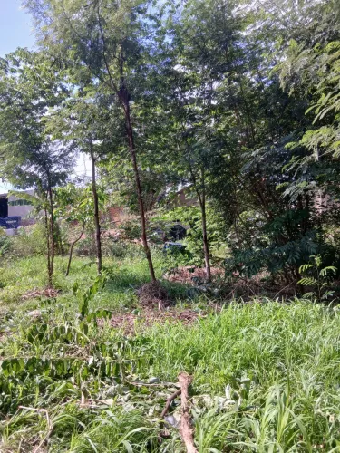 Terreno 10 por20 novo paraíso 2 perto da garagem de ônibus 