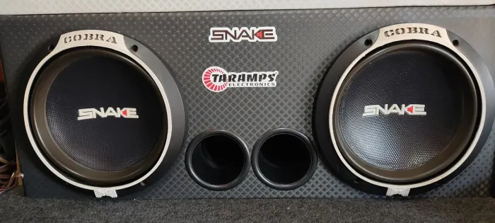 Alto falante 12 polegadas snake