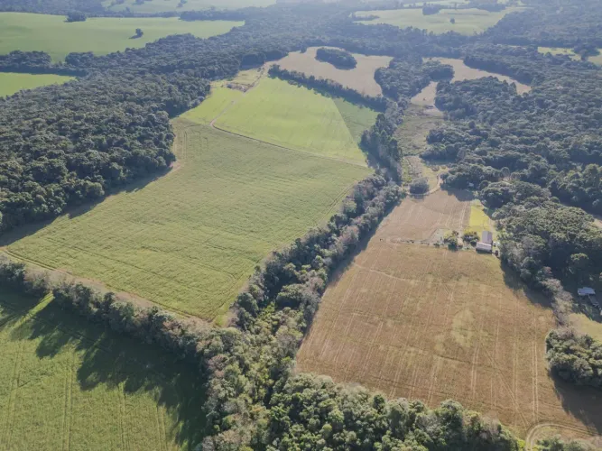 Chácara à venda Próximo ao Ponta Grossa Golf Clube, com 217.885,07m² - 21.79 Hec