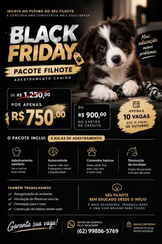 Adestramento para filhotes | @tdacademygo