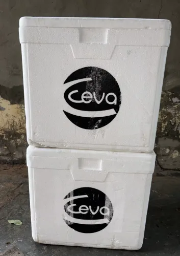 Caixas de isopor 45 ltr e Gelox