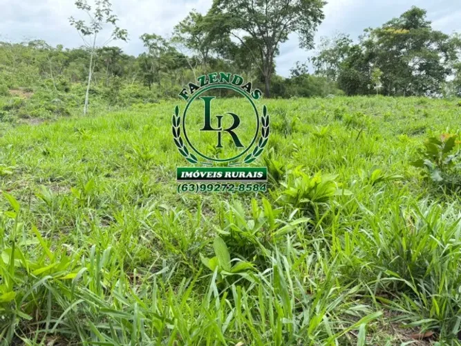 Fazenda 29 Alqueires Dupla Aptidão
